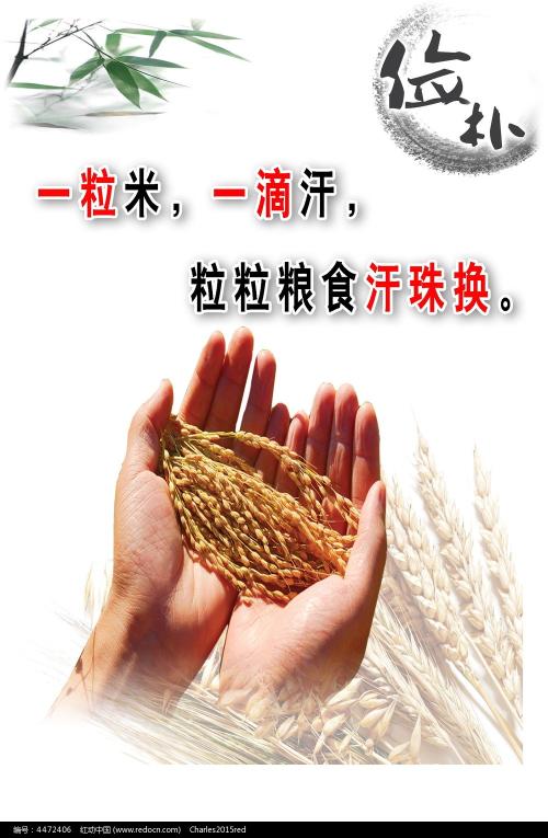 上法兰西理工大学student card